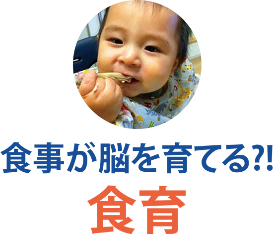 ⾷育　食事が脳を育てる?!