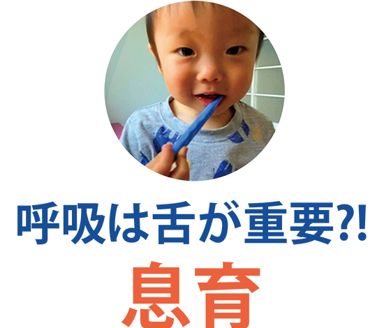 息育　呼吸は舌が重要?!
