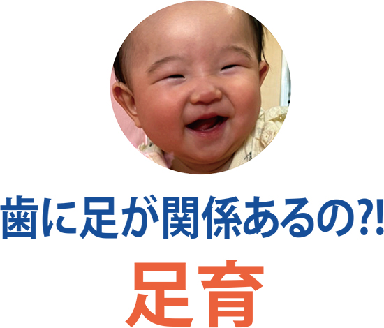 ⾜育　歯に足が関係あるの?!